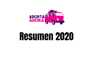 Celebramos los logros de Adopta Ahora, Inc. en el 2020