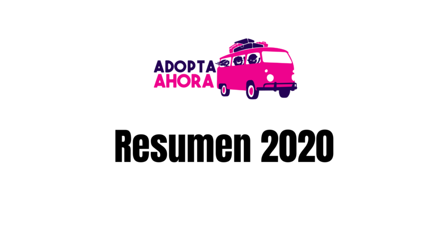 Celebramos los logros de Adopta Ahora, Inc. en el 2020