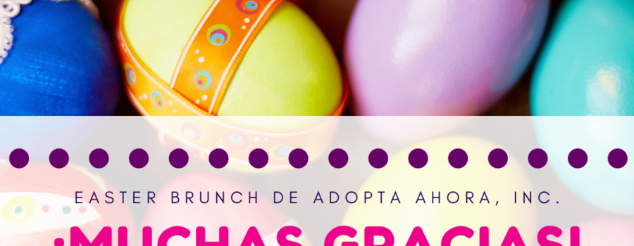 Adopta Ahora, Inc. le lleva un Easter Brunch a nuestros niños